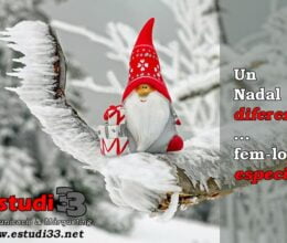 Estudi 33 - Un Nadal diferent ... fem-lo especial!