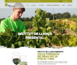 Olis d'Oliva i Vins | Estudi 33