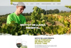 Olis d'Oliva i Vins | Estudi 33
