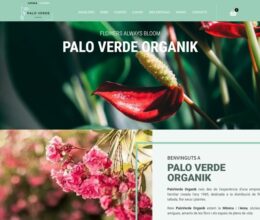 Palo Verde Organik | Estudi 33