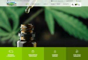 CBD Costa Brava | Estudi 33