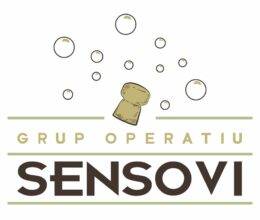 Estudi 33 - Blog - Disseny logo Sensovi
