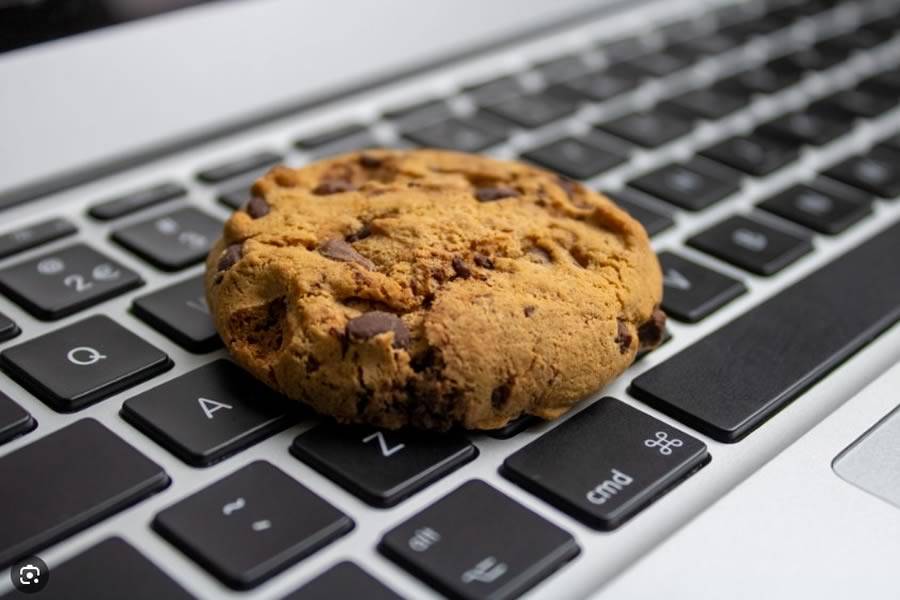 Estudi 33 - Blog - Nueva normativa de cookies a la vista este 2024